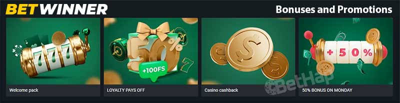 Explore BetWinner Casino and Sportsbook Your Gateway to Online Gaming