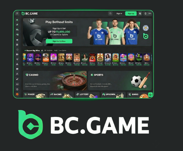 Exploring BC.Game Mirrors The Ultimate Guide to Enhanced Gaming Experiences